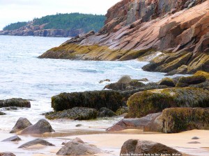 The Shore