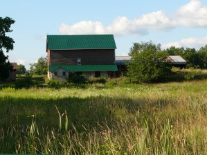 Peace at the Farm