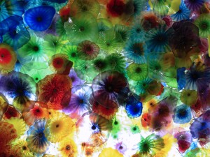 Glass Menagerie 