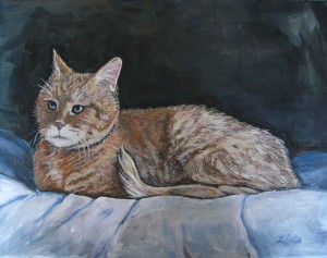 catportrait