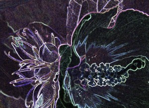 Abstract Neon