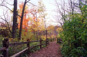 The Path to Peace