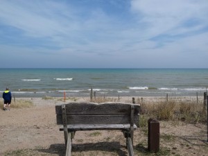 Once Upon a Bench