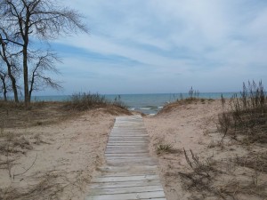 On the Path