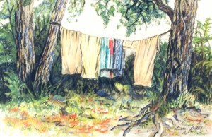 Wet Towels