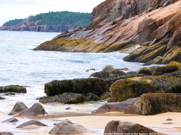 The Shore Print