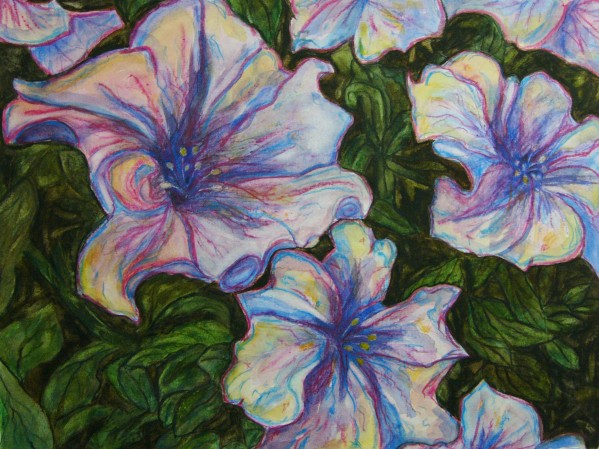 Petunias Print