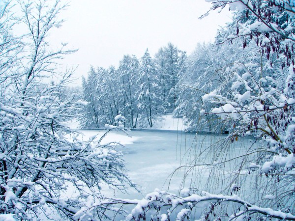 Winter Tranquility Print