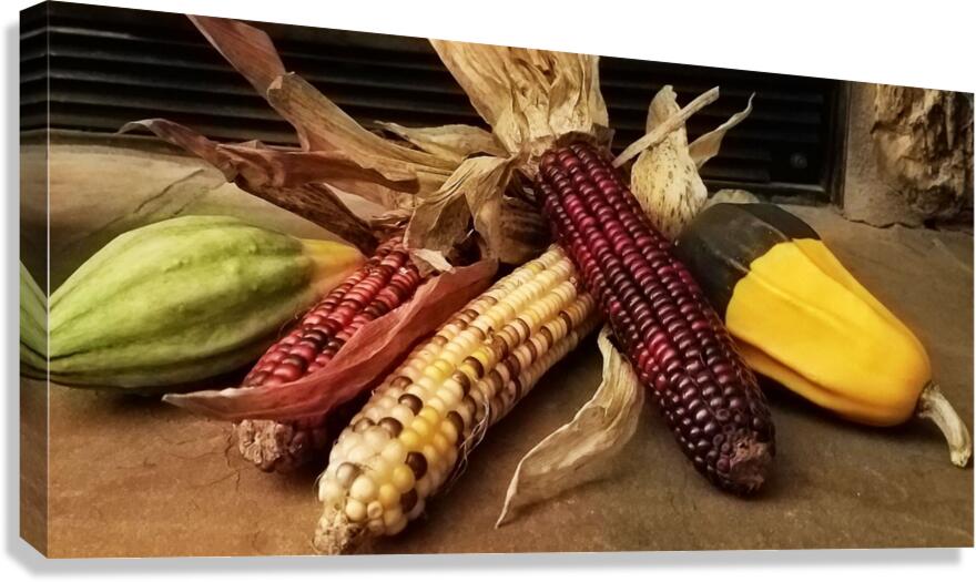 Indian Corn Canvas Print