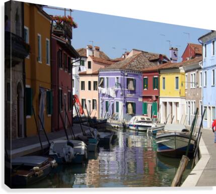The River Canvas Print