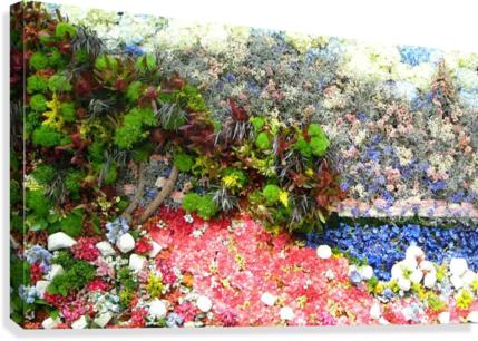 Collage Canvas Print