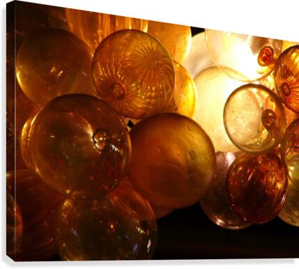 Transparency2 Canvas Print