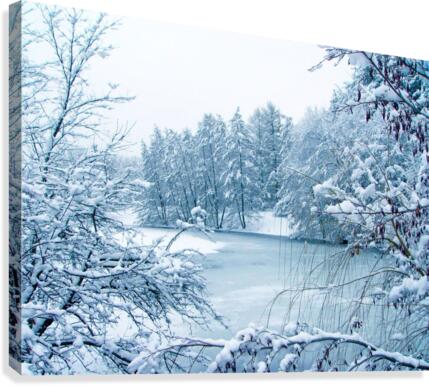 Winter Tranquility Canvas Print