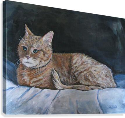 catportrait Canvas Print