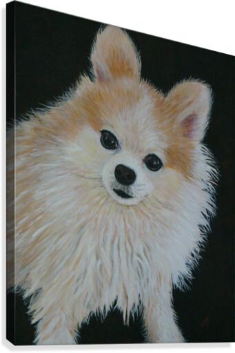 chloewithoutframe Canvas Print