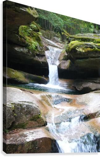 The Pool Canvas Print