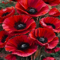 Whispers of Flowers