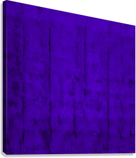 bluepurple5 Canvas Print