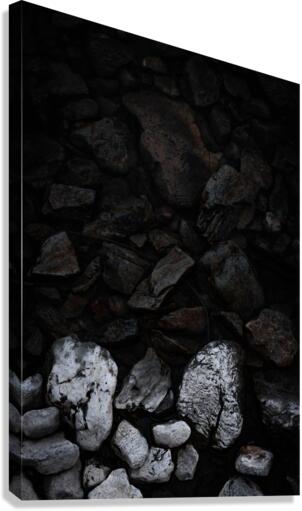 Contrasted Canvas Print