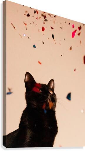 Party time Canvas Print