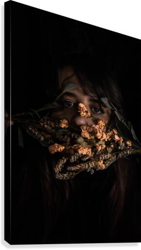 Hidden Canvas Print