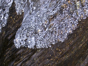 Fiber