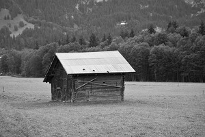 Shed