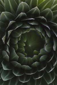 Portal