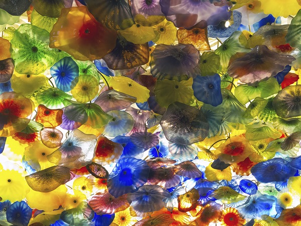 Chihuly Print