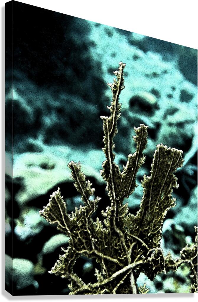 Solidity Canvas Print