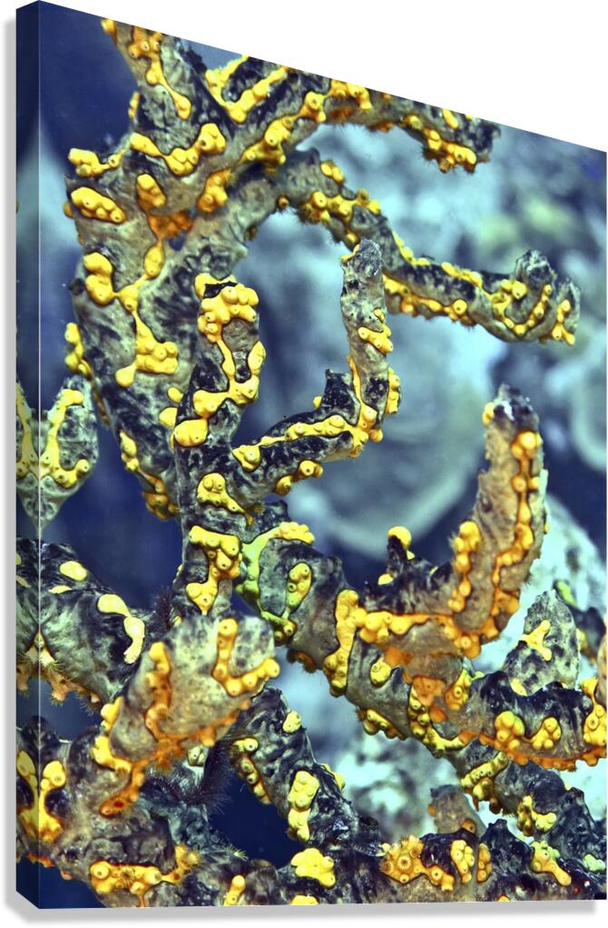 Parasitic Canvas Print