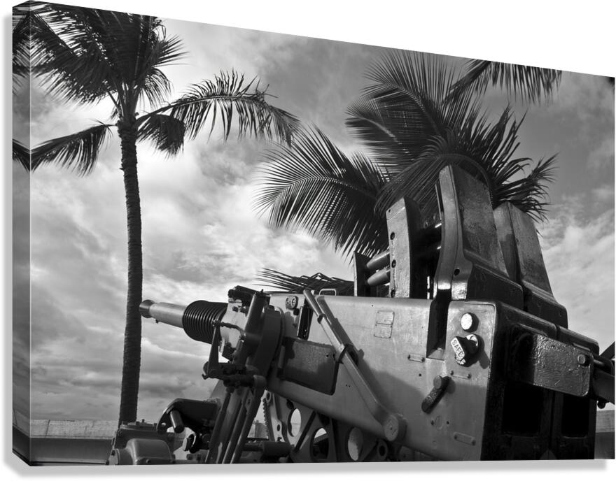 Anti-Aircraft Canvas Print