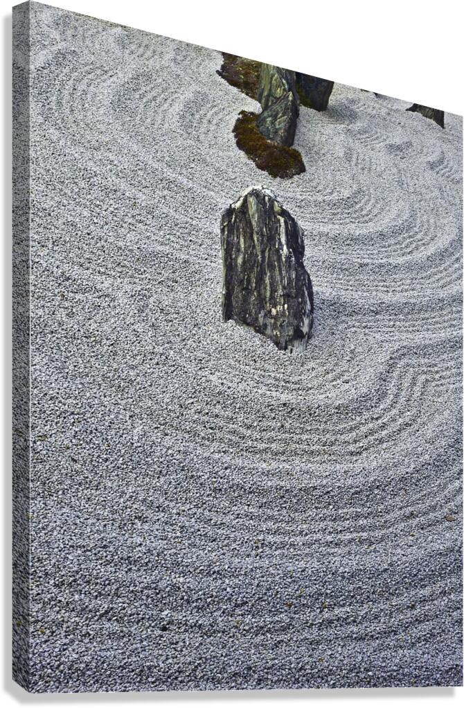 Meditation Canvas Print