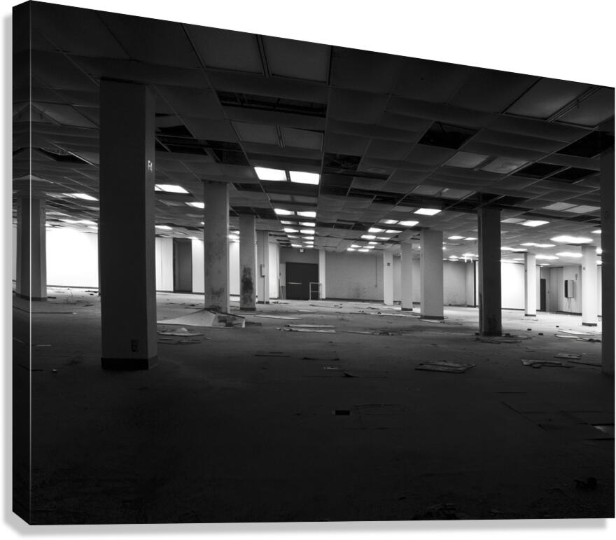 Vacant Canvas Print