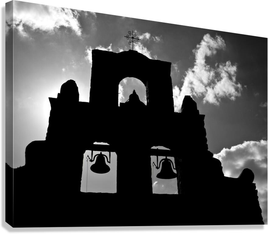 Executrix Canvas Print