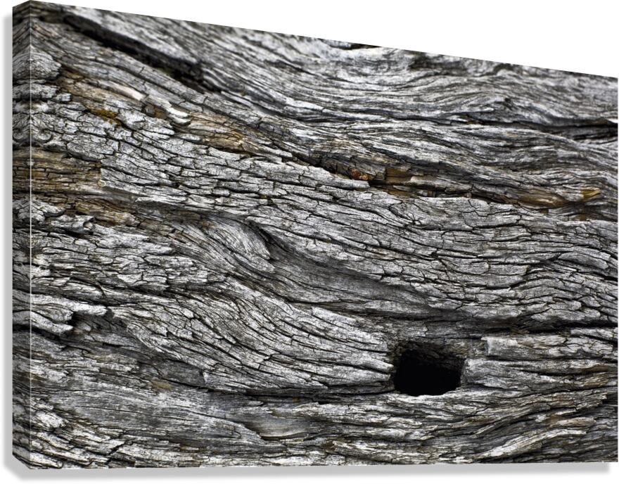 Waterfalls Canvas Print