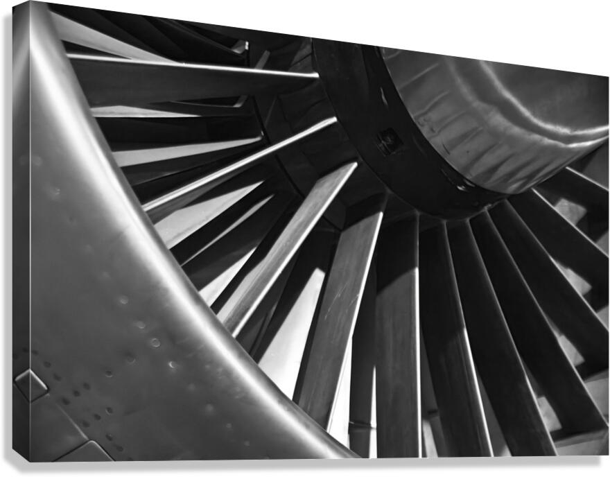 Youthful Canvas Print