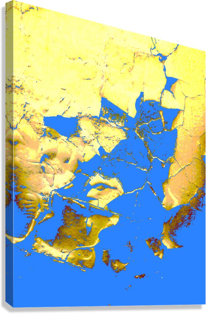 Geography Canvas Print