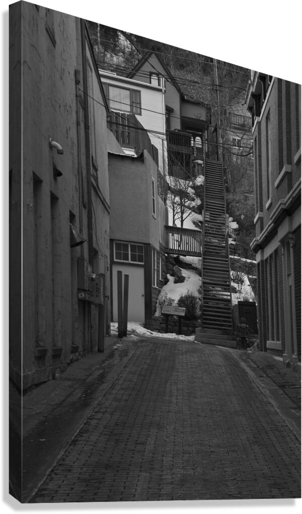 Looking Up Canvas Print