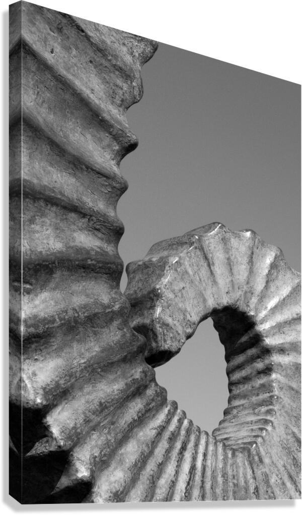 Curl Canvas Print