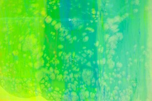 Spring Morning 7