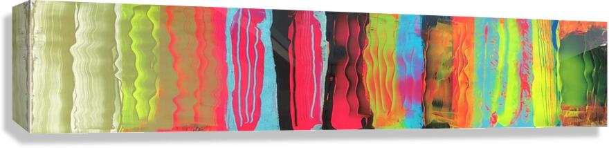 Streamline Canvas Print
