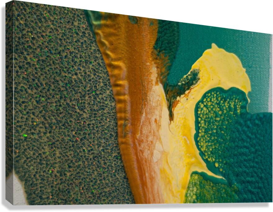 Alligator Point Canvas Print