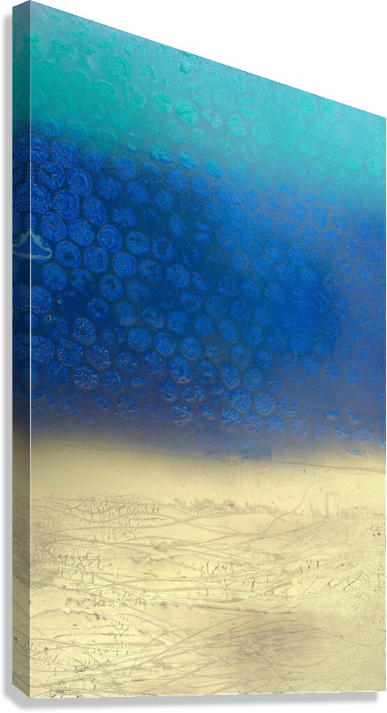Ocean Bed Canvas Print