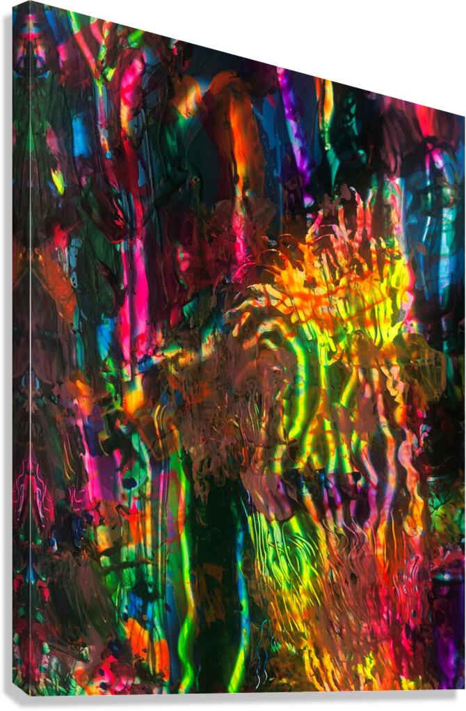 Dragon Fly 2 Canvas Print