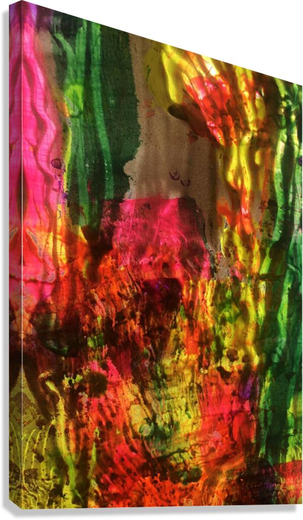 Hard Candy 2 Canvas Print