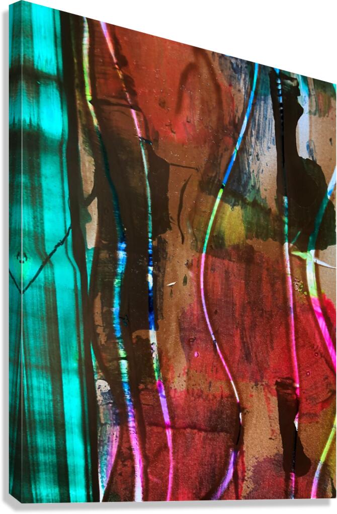 Garden Light Canvas Print