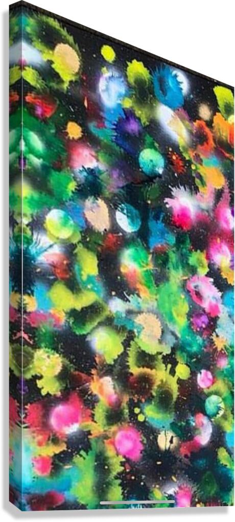Nova Burst Canvas Print