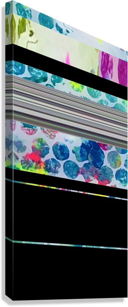 Orb Window 4 Canvas Print