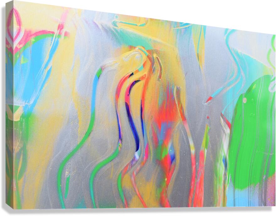 Squigle 4 Canvas Print